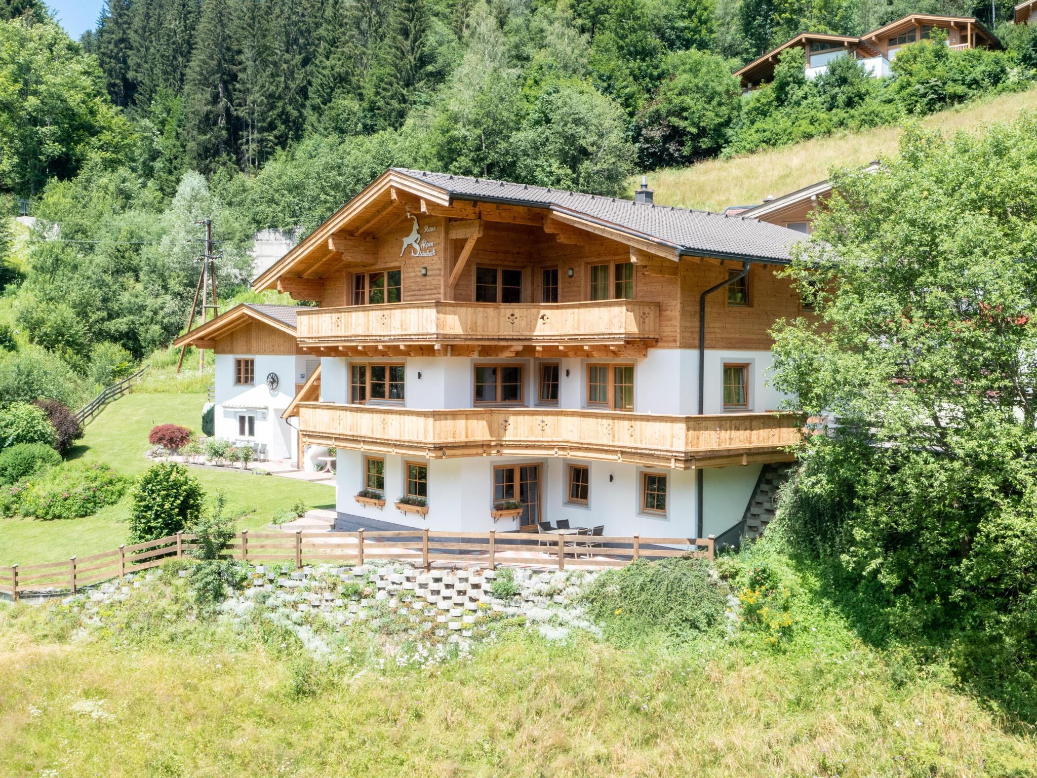 Alpensteinbock Saalbach L
